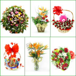FLORICULTURAS Pedro Leopoldo  cestas de café da manhã e coroas de flor